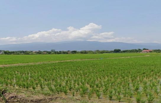 ������ �� onanong khumaphao