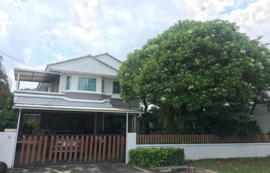 ��觤�� �� �����ԡ�