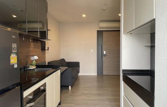 �������ҷ� �� �͡���