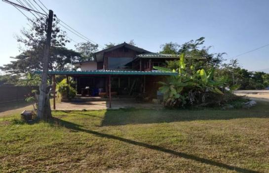 ����� �� onanong khumaphao