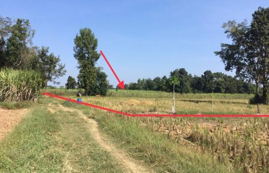 ��ª������ �� compos2566