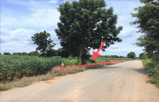 ��ª������ �� panaya.opalopal