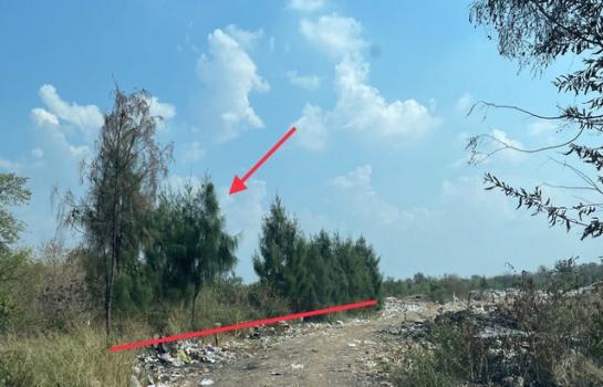 ��ª������ �� panaya.opalopal