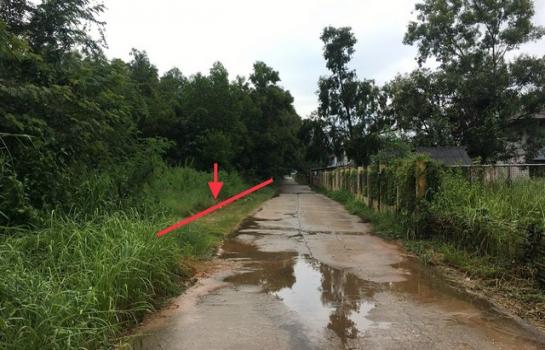 ��ª������ �� panaya.opalopal