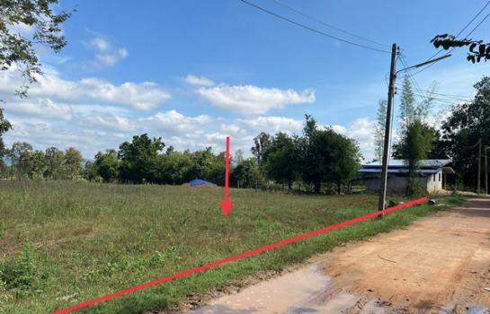 ��ª������ �� compos2566