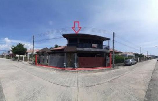 ���� �� panaya.opalopal