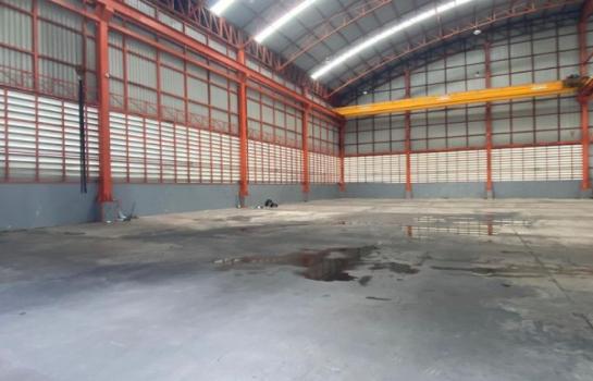 �ҧ�ع��¹ �� Pukpik.TNC