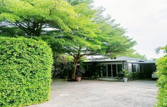 ��ҹ����� �� Sawasdee