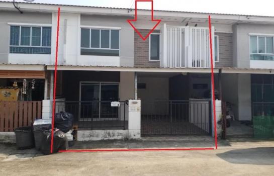 ��¹������ �� compos2566