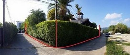 ��ҧ �� compos2566