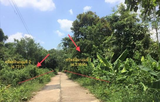 ��þ�� �� panaya.opalopal