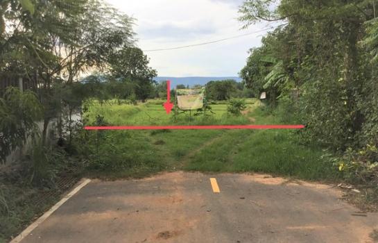 ��ª������ �� panaya.opalopal