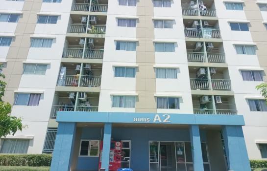 ������ �� B.Y.55