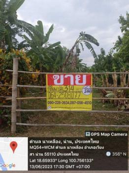 ��¹�ҹ �� zionasset1