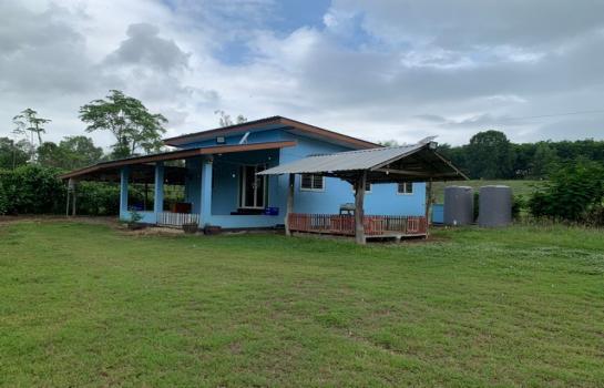 ��¹�ҹ �� zionasset1