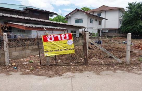 ����ӻҧ �� zionasset1