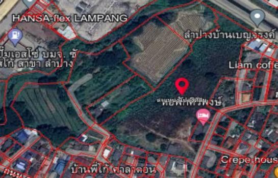 ����ӻҧ �� zionasset1