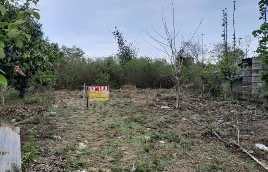 ����ӻҧ �� zionasset1