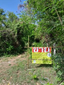 ����ӻҧ �� zionasset1