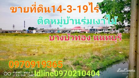 ขายที่ดิน bigc ขายที่ดิน bigc