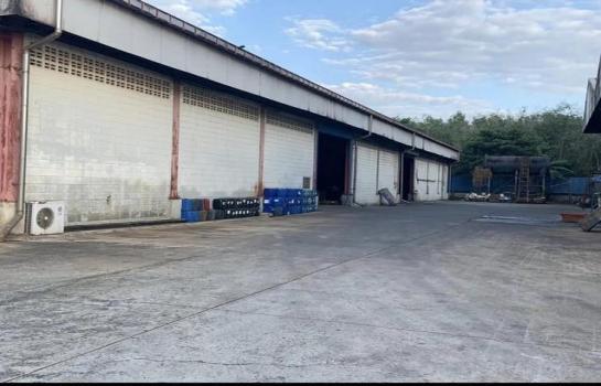 �ź��� �� naorinpl