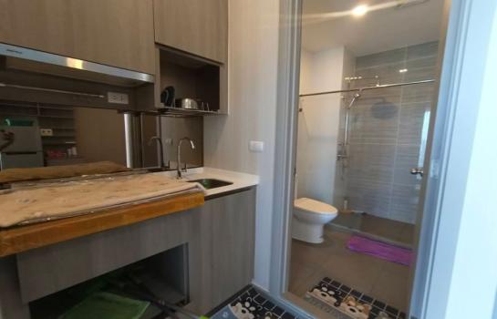 �͹���͹�ت �Ѳ��