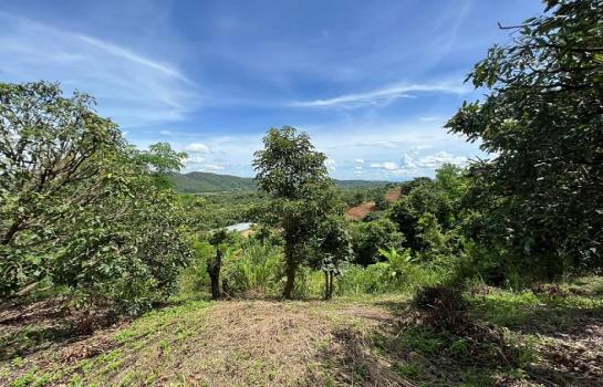 ���Թ�ҧ�� �� Sawasdee