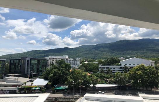 �Ң�ѭ �Ź�����