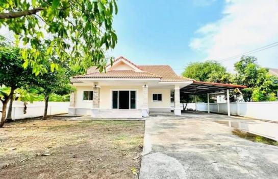 �ѹ���� �� northern1