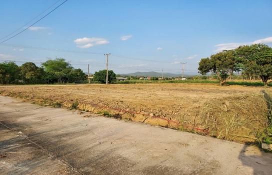 ������� �� tayapornaik1