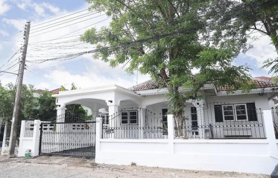 ��Ը� �蹨Թ��