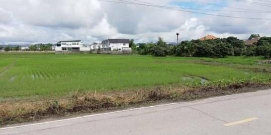 �ҧ�� �� onanong khumaphao