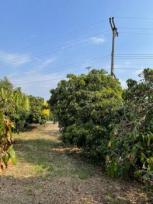 ��·��Թ �Ҥһ�С�Ȣ�� 2,800,000 �ҷ