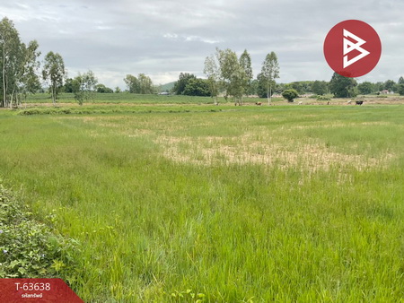 ��ɳ��š �� The Best Property Agent