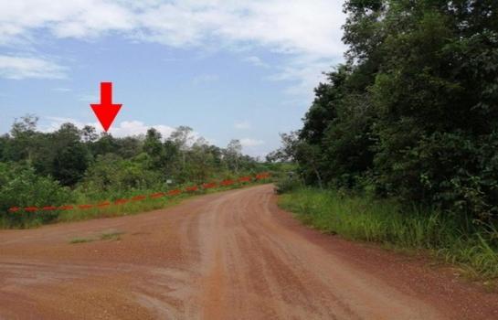 ��º֧��� �� panaya.opalopal