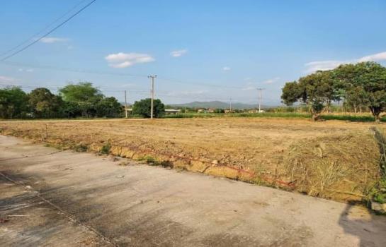 ������� �� onanong khumaphao