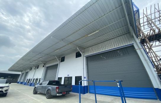 ��ͧ��ǧ �� AssetD4U