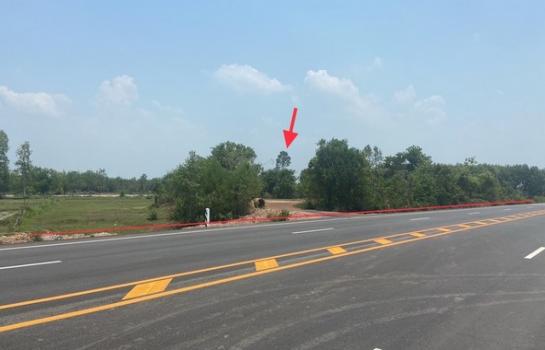 ��º֧��� �� panaya.opalopal