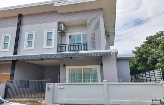 �Ң�ѭ �Ź�����