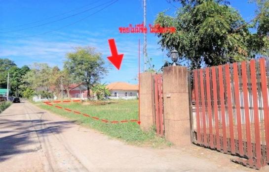 ��º֧��� �� panaya.opalopal