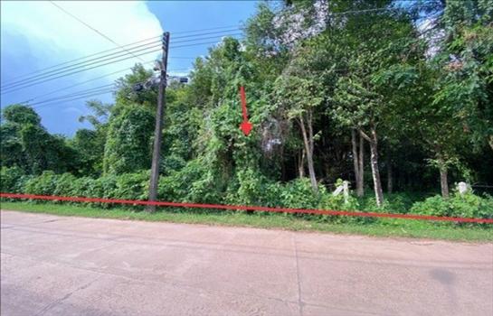 ��º֧��� �� panaya.opalopal