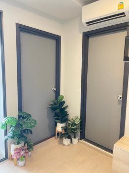 �͹���������ԧ�� ����