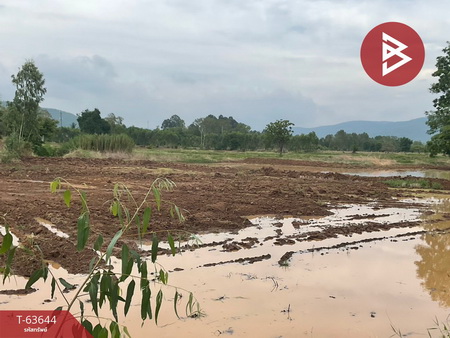 ��ɳ��š �� The Best Property Agent