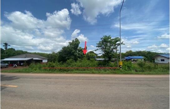 ��º֧��� �� panaya.opalopal