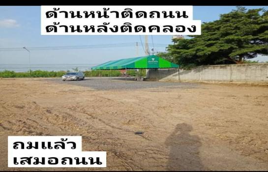 ���١�� �� TheEstate78924