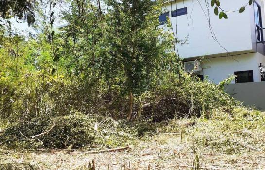 ���觪ѹ �� Perfect Property1