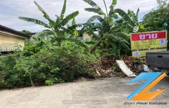 �ҧ�� �� zionasset1