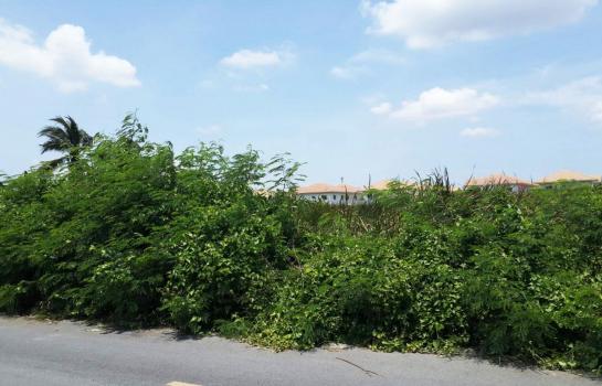 ������� �� Perfect Property1