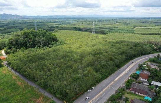 ������ �� zionasset1