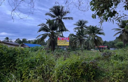 ���ʧ��� �� zionasset1